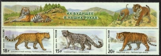 2105-2107
