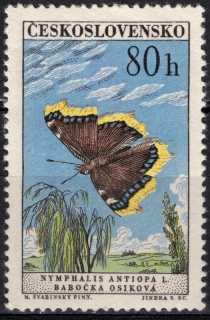 1222 DV