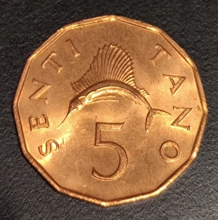 5 Senti 1982
