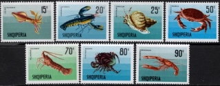1299-1305 Fauna