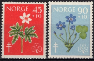 0438-0439 Kvety