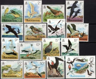 0196-0211 Vtáky