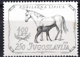 1844 Kone
