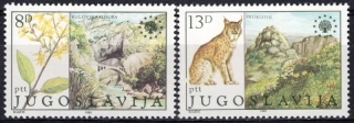1908-1909