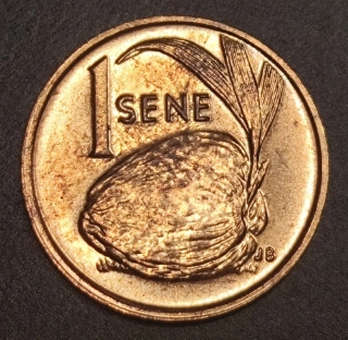 1 Sene 1996