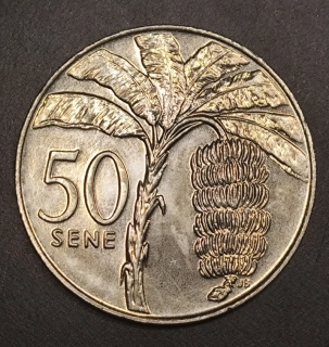 50 Sene 2002
