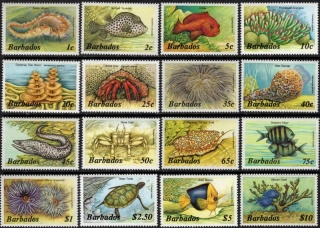 0617-0632 Fauna