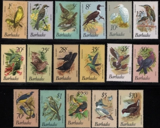 0465-0481 Vtáky
