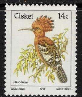 0097 Vtáky