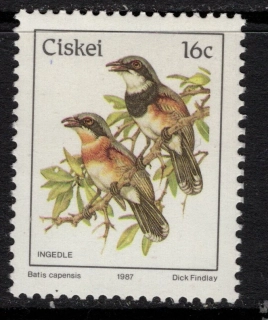 0114 Vtáky