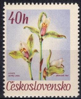 1636 DV 1/1
