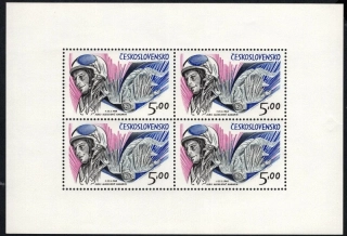 2025 V.V.