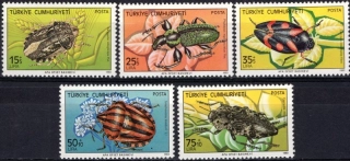 2652-2656 Fauna