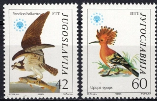 2100-2101 Vtáky