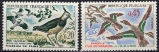 1332-1333 Vtáky