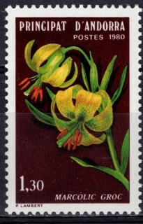 0307 Flóra