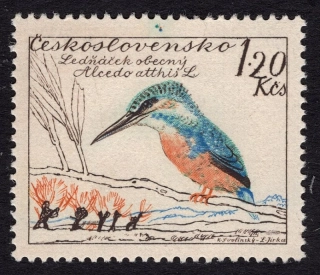 1084 DV