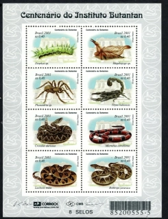 3132-3139 Fauna