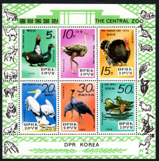 1905-1910 KB Fauna