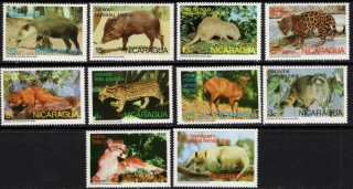 1800-1809 Fauna