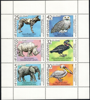 3657-3662 KB Fauna