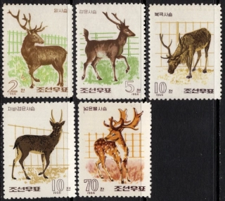 0749-0753 Fauna