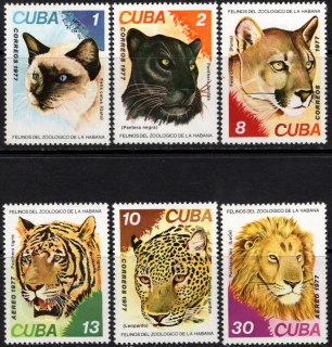 2257-2262 Fauna