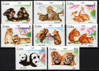 2439-2446 Fauna