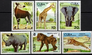 2347-2352 Fauna