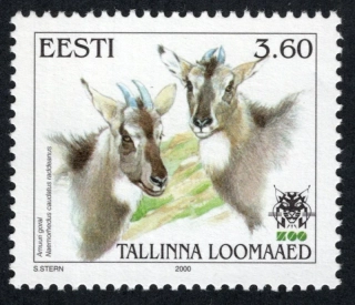 0373 Fauna
