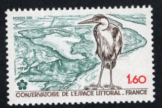 2272 Fauna