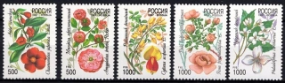 0554-0558