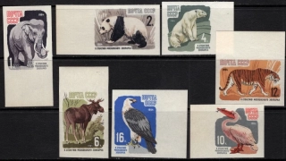 2914-2920 B Fauna
