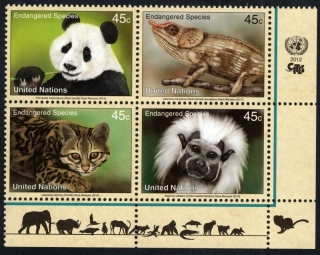 1304-1307 Fauna