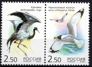 1008-1009