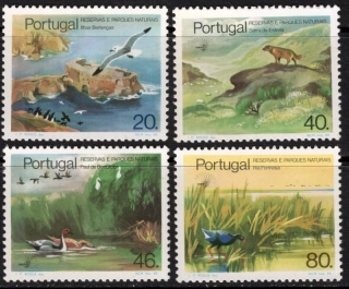 1668-1671 Fauna