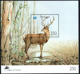 1861 BL 77 Fauna