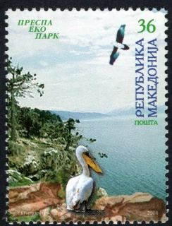 0322 Vtáky