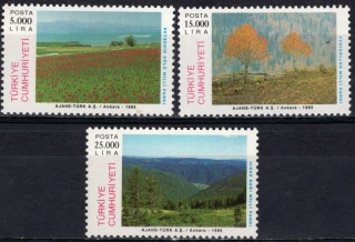 3049-3051
