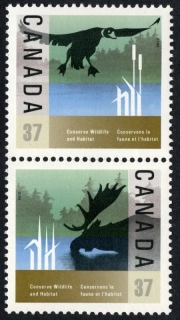 1084-1085 Fauna