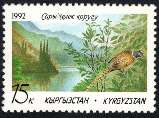 0001 Vtáky