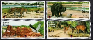 1520-1523 Fauna