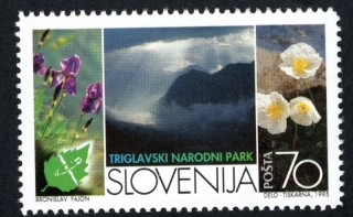 0112 Flóra