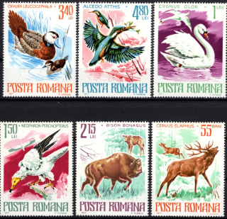 3417-3422 Fauna