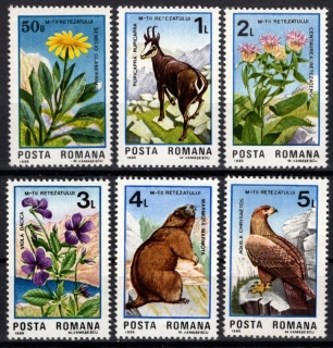 4172-7177 Fauna/Flóra