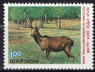 0952 Fauna
