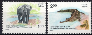 1073-1074 Fauna