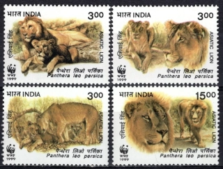 1704-1707 Fauna