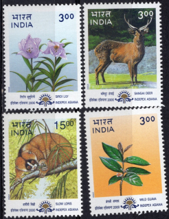 1750-1753 Fauna/Flóra