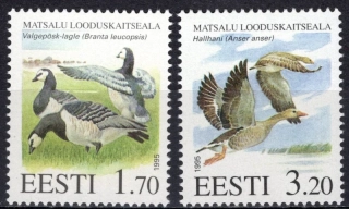 0245-0246 Vtáky